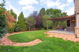 8119 S Madison Backyard