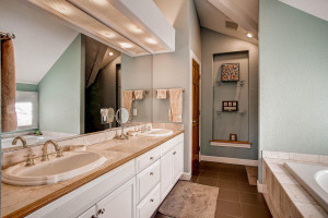 1242 S High St Denver CO 80210-large-024-23-5piece master bath with marble-1498x1000-72dpi
