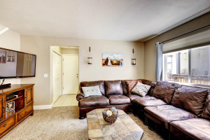 17049 Vineland Parker CO 80134-large-016-11-Family Room-1500x1000-72dpi