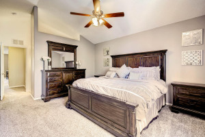17049 Vineland Parker CO 80134-large-018-22-Master bedroom-1500x1000-72dpi