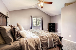 17049 Vineland Parker CO 80134-large-019-17-Master bedroom offer a ceiling-1500x1000-72dpi