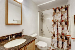 17049 Vineland Parker CO 80134-large-023-15-Lower Level Bathroom-1500x1000-72dpi