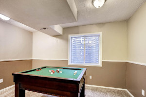 17049 Vineland Parker CO 80134-large-024-12-Lower Level BedRecreation room-1500x1000-72dpi