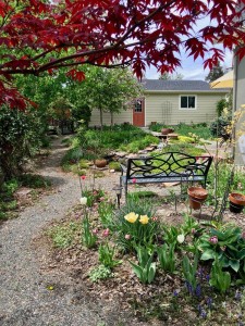4527 Elm Ct Denver CO 80211-large-031-30-Private fenced yard great for-750x1000-72dpi
