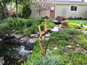4527 Elm Ct Denver CO 80211-large-032-31-landscaped hard including-1334x1000-72dpi