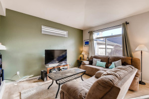 10105 Wyandott Cir N Thornton-large-004-1-Living Room-1500x1000-72dpi