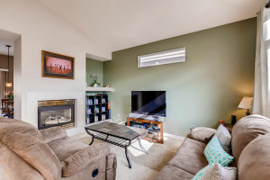 10105 Wyandott Cir N Thornton-large-005-4-Living Room-1500x1000-72dpi