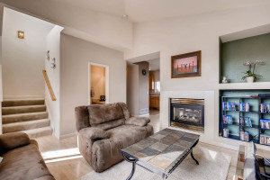 10105 Wyandott Cir N Thornton-large-006-13-Living Room-1500x1000-72dpi