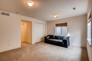 10105 Wyandott Cir N Thornton-large-021-26-Lower Level Family Room-1500x1000-72dpi