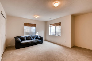 10105 Wyandott Cir N Thornton-large-022-9-Lower Level Family Room-1500x998-72dpi