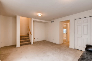 10105 Wyandott Cir N Thornton-large-023-18-Lower Level Family Room-1500x1000-72dpi
