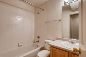 10105 Wyandott Cir N Thornton-large-026-12-Lower Level Bathroom-1499x1000-72dpi