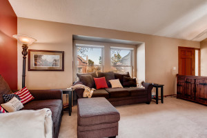 7223 S Zephyr Way Littleton CO-large-004-35-Living Room-1500x1000-72dpi