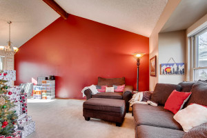 7223 S Zephyr Way Littleton CO-large-005-34-Living Room-1500x1000-72dpi