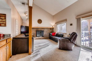 7223 S Zephyr Way Littleton CO-large-012-50-Family Room-1500x1000-72dpi