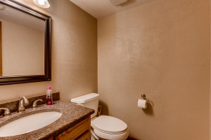 7223 S Zephyr Way Littleton CO-large-014-48-Powder Room-1500x1000-72dpi