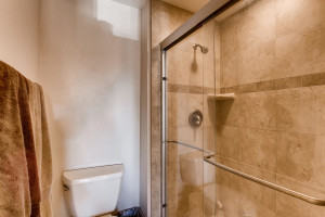 7223 S Zephyr Way Littleton CO-large-018-44-2nd Floor Master Bathroom-1500x1000-72dpi