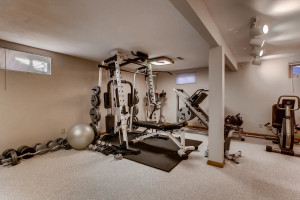 7223 S Zephyr Way Littleton CO-large-022-51-Lower Level Recreation Room-1500x1000-72dpi