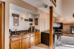 7223 S Zephyr Way Littleton CO-large-024-53-Wetbar-1500x1000-72dpi