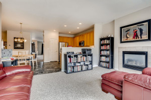 5616 S sicily ct Aurora CO-large-012-19-Family Room-1500x1000-72dpi