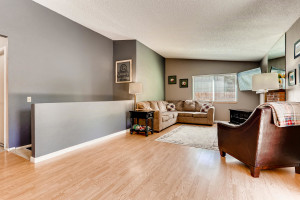 15891 E Mercer Pl Aurora CO-large-005-008-Living Room-1500x1000-72dpi