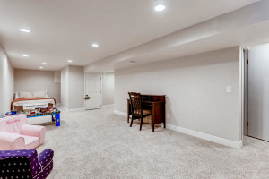 15891 E Mercer Pl Aurora CO-large-020-010-Lower Level Family Room-1500x1000-72dpi