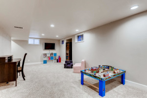 15891 E Mercer Pl Aurora CO-large-021-018-Lower Level Family Room-1500x1000-72dpi