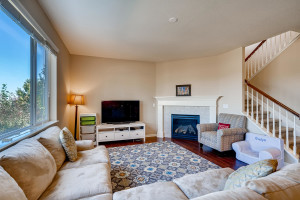 13801 Ashgrove Cir Parker CO-large-012-007-Living Room-1500x1000-72dpi