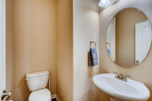 13801 Ashgrove Cir Parker CO-large-014-003-Powder Room-1499x1000-72dpi