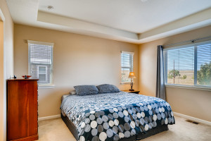 13801 Ashgrove Cir Parker CO-large-015-008-2nd Floor Master Bedroom-1500x1000-72dpi