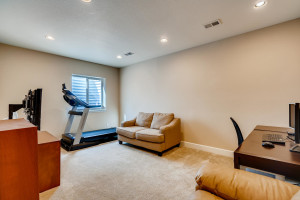 13801 Ashgrove Cir Parker CO-large-027-026-2nd Floor Family Room-1500x1000-72dpi
