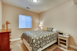 13801 Ashgrove Cir Parker CO-large-029-022-Lower Level Bedroom-1500x1000-72dpi