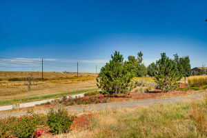 13801 Ashgrove Cir Parker CO-large-035-035-Views-1499x1000-72dpi