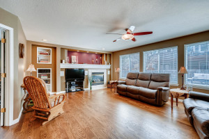 10627 Clarkeville Way Parker-large-016-015-Family Room-1500x1000-72dpi