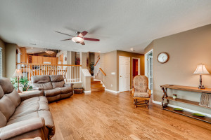 10627 Clarkeville Way Parker-large-017-017-Family Room-1499x1000-72dpi