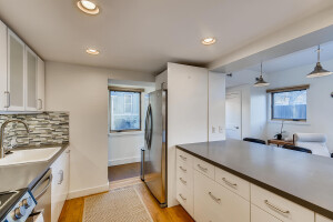 133 Grant St Denver CO 80203-large-034-013-Kitchen-1498x1000-72dpi