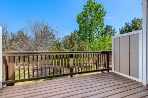 12008  Hoye Dr - Web Quality - 014 - 23 Balcony