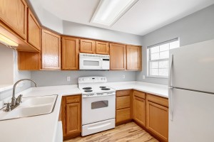 12008  Hoye Dr - Web Quality - 015 - 10 Kitchen