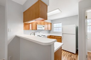 12008  Hoye Dr - Web Quality - 017 - 11 Kitchen