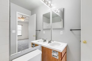 12008  Hoye Dr - Web Quality - 029 - 20 Primary Bathroom
